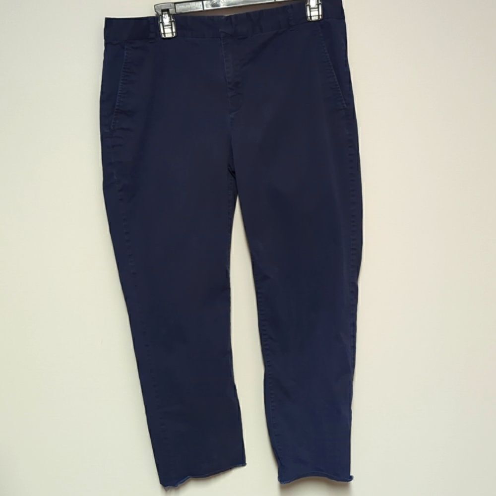 Banana Republic Factory Blue Chino Pants